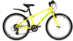 Raleigh Performance MTB 24w 2017 Junior Bike