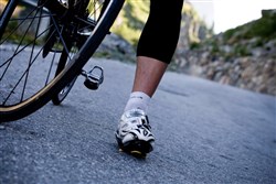 Endura CoolMax Race Cycling Socks - Triple Pack SS16