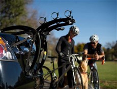 Saris Bones Coloured Car Boot Rack - 3 Bikes