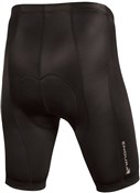 Endura CoolMax 8-Panel Padded Cycling Shorts SS16
