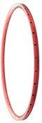 Halo Aerowarrior 700c 29 inch Hardcore Aero Road Rim