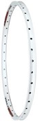 Halo Chaos 26" Dirt Jump Rim