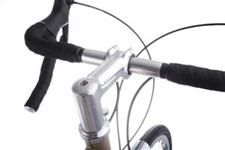 Genetic AQ Road Stem