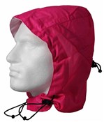 Polaris Aqualite Extreme Hood