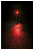 Topeak Redlite Aura Rear Light
