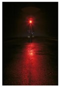 Topeak Redlite Aero Rear Light