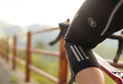 Endura Windchill Cycling Kneewarmers SS16
