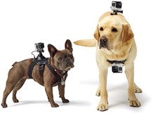 GoPro Fetch - Dog Harness