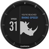 Garmin Fenix 3 GPS Fitness Watch