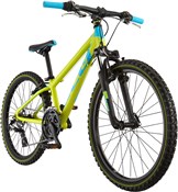 Felt Q24 24W 2017 Kids Bike