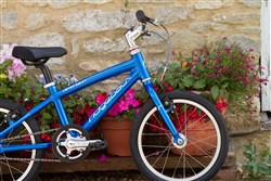 Ridgeback Dimension 16w 2017 Kids Bike
