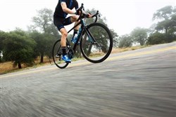 Giant Signature Cycling Bib Shorts