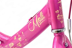 Raleigh Molli 14w Girls 2017 Kids Bike