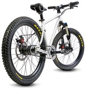 Early Rider Belter 20" Trail 3S Belt Drive Hardtail 20w 2017 Kids Bike