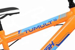 Raleigh Tumult 18w 2017 Kids Bike