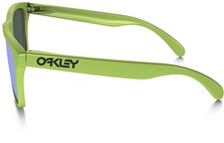 Oakley Frogskins Polarized Heaven & Earth Collection Sunglasses