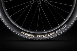 Schwalbe Rock Razor Tubeless Ready 29er Folding Tyre