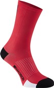 Madison RoadRace Premio Extra Long Socks SS17