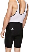 Nalini Cicos 3 Cycling Bibshorts SS16
