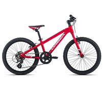 Orbea MX 20 Dirt 2017 Kids Bike