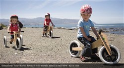 Wishbone 3in1- Original 12W 2017 Kids Balance Bike