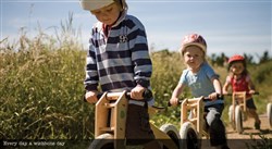 Wishbone 3in1- Original 12W 2017 Kids Balance Bike