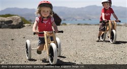 Wishbone 3in1- Original 12W 2017 Kids Balance Bike