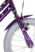 Raleigh Songbird 14w Girls 2017 Kids Bike