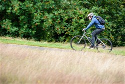 Ridgeback E-Flight Di2 2017 Electric Hybrid Bike