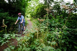 Ridgeback Element 2017 Hybrid Bike