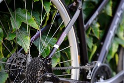 Ridgeback Element Open Frame Womens 2017 Hybrid Bike