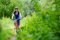 Ridgeback Vanteo Open Frame Womens 2017 Hybrid Bike