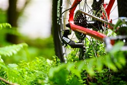 Ridgeback X1 2017 Mountain Bike