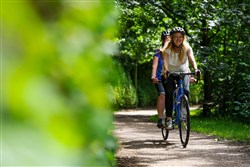 Ridgeback Panorama Tandem 2017 Tandem
