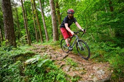 Genesis Croix de Fer 30 2017 Road Bike
