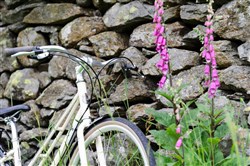Genesis Columbia Road 2017 Hybrid Bike