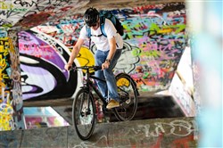 Genesis Skyline 30 2017 Hybrid Bike