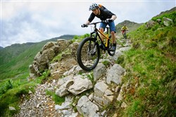 Genesis Tarn 20 2017 Mountain Bike