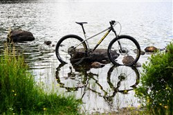 Genesis Tarn 29 2017 Mountain Bike