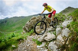Genesis Tarn 29 2017 Mountain Bike