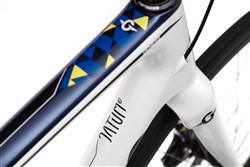 Genesis Datum 10 2017 Road Bike
