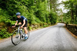 Genesis Zero Disc Zi 2017 Road Bike