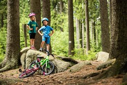 Cube Bike Stripes Junior T-Shirt
