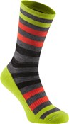 Madison Isoler Merino 3-Season Sock SS17