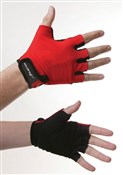 Avenir Pulse Mitt Short Finger Gloves