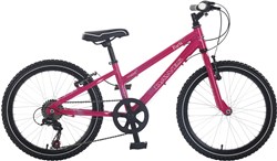 Dawes Paris 20w Girls 2017 Kids Bike