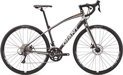 Giant Anyroad 2 2017 Road Bike
