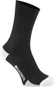 Madison RoadRace Premio Extra Long Socks SS17