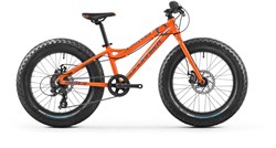Mondraker Panzer 20w 2017 Kids Bike