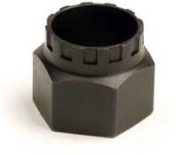 Park Tool Bottom Bracket Tool / Cassette Lock Ring - Campagnolo BBT-5 / FR-11